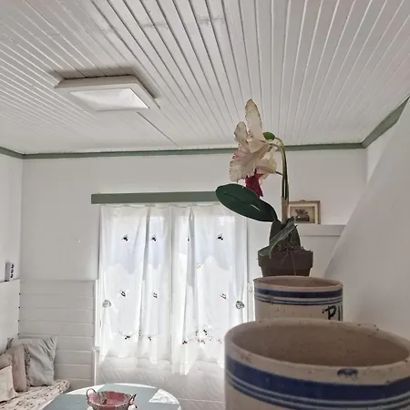 Casa Da Mata Tatil Evi *