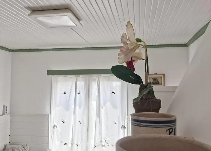 Casa Da Mata Dom wakacyjny *